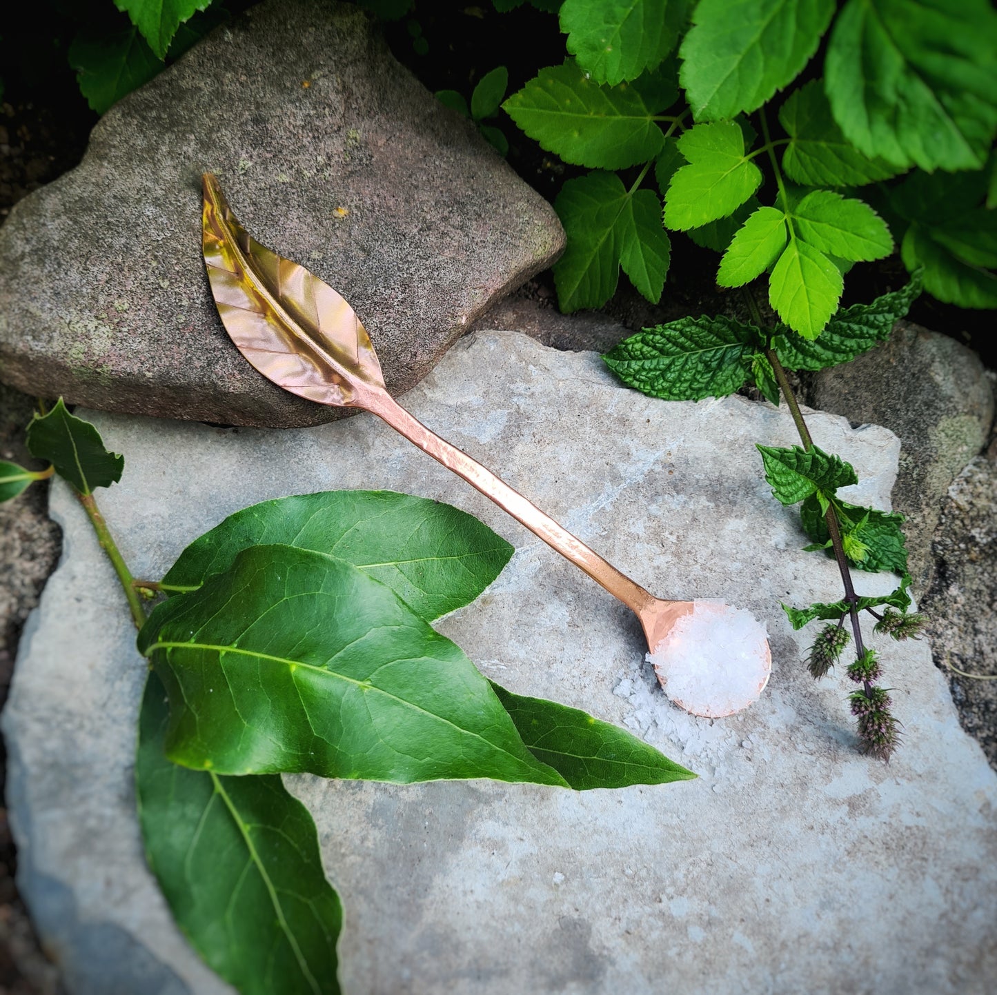 Leaf Handled Tea Spoon