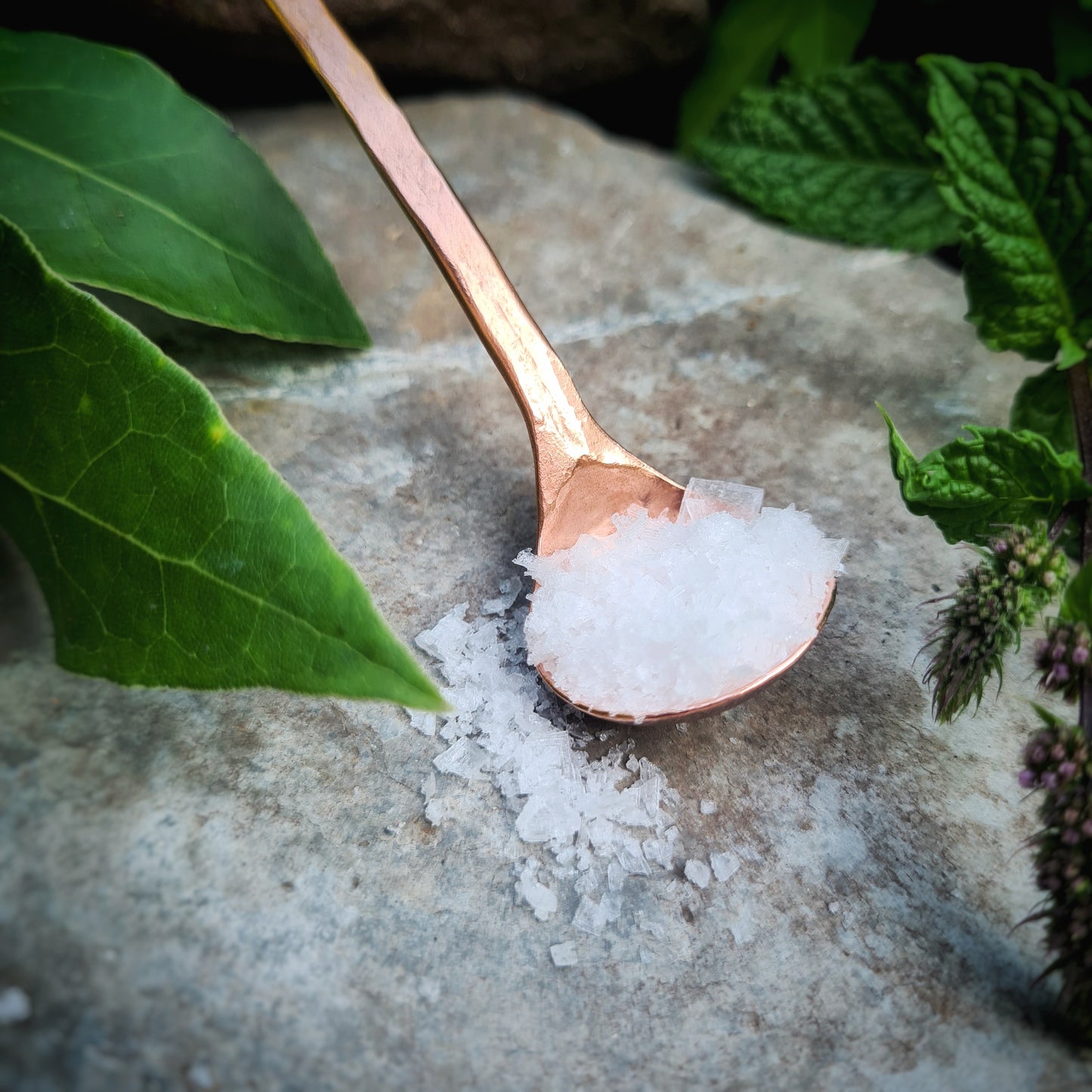 Leaf Handled Tea Spoon